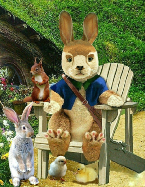 The most famous rabbit in History ''Noam''